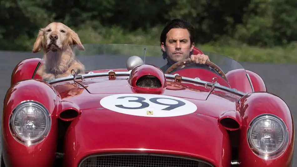 Attraverso i miei occhi