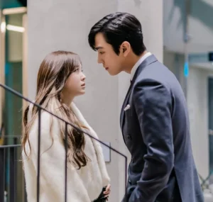 Serie tv coreane, chaebol