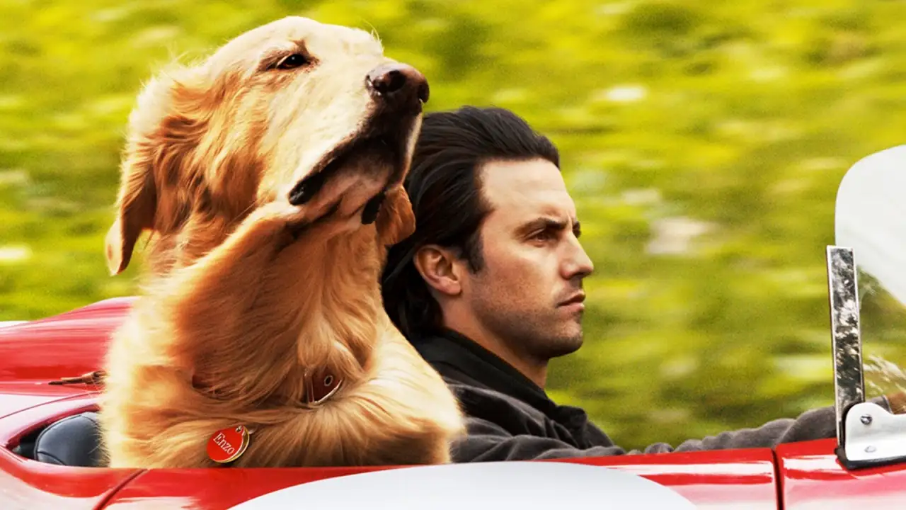 Attraverso i miei occhi